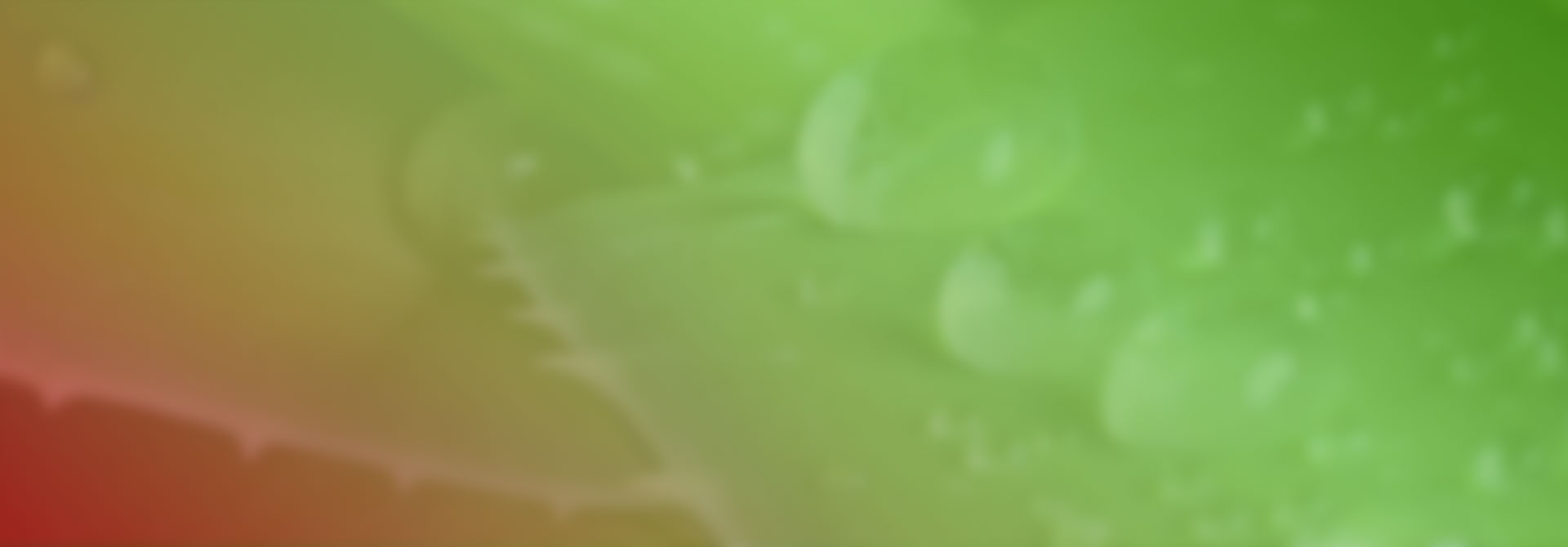 bg-blur-2
